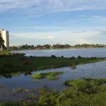 Previsão do tempo em Três Lagoas: quarta-feira de sol e temperaturas até 26°C