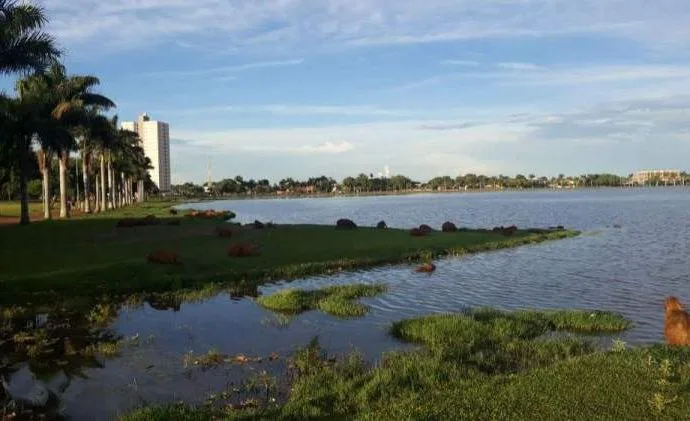 Previsão do tempo em Três Lagoas: quarta-feira de sol e temperaturas até 26°C
