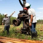 Suzano oferece 15 vagas de emprego em Mato Grosso do Sul