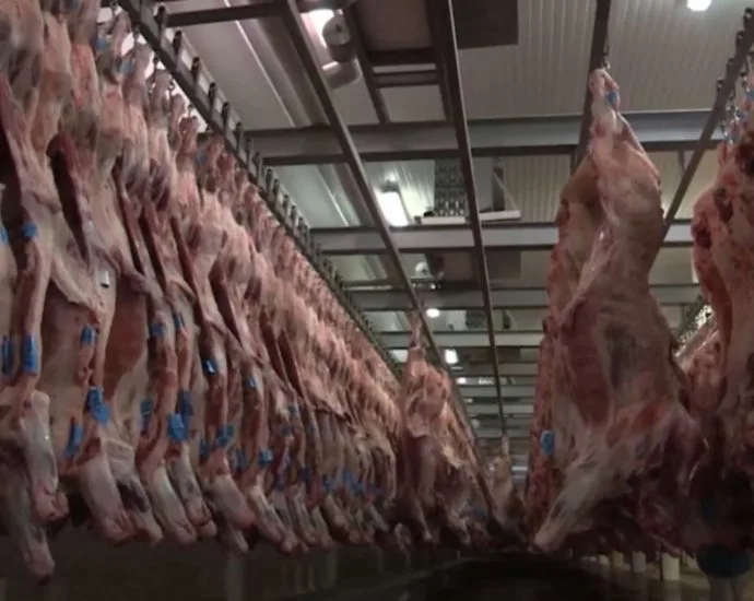 Queda nas Exportações de Carne Bovina de MS em Agosto de 2026
