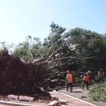 Campo Grande declara situação de emergência após tempestade
