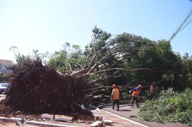 Campo Grande declara situação de emergência após tempestade Campo Grande declara situação de emergência após tempestade