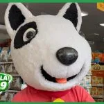Feira de Adoção em Três Lagoas oferece cães resgatados neste sábado