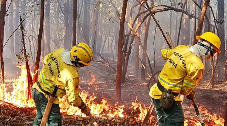 Queimadas no Pantanal apresentam queda de 76% em relação à média histórica Queimadas no Pantanal apresentam queda de 76% em relação à média histórica