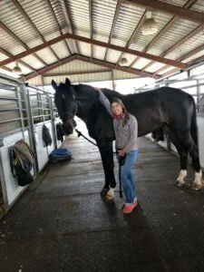 Mariana Zamboni: A Veterinária que Une Paixão e Cuidado Animal