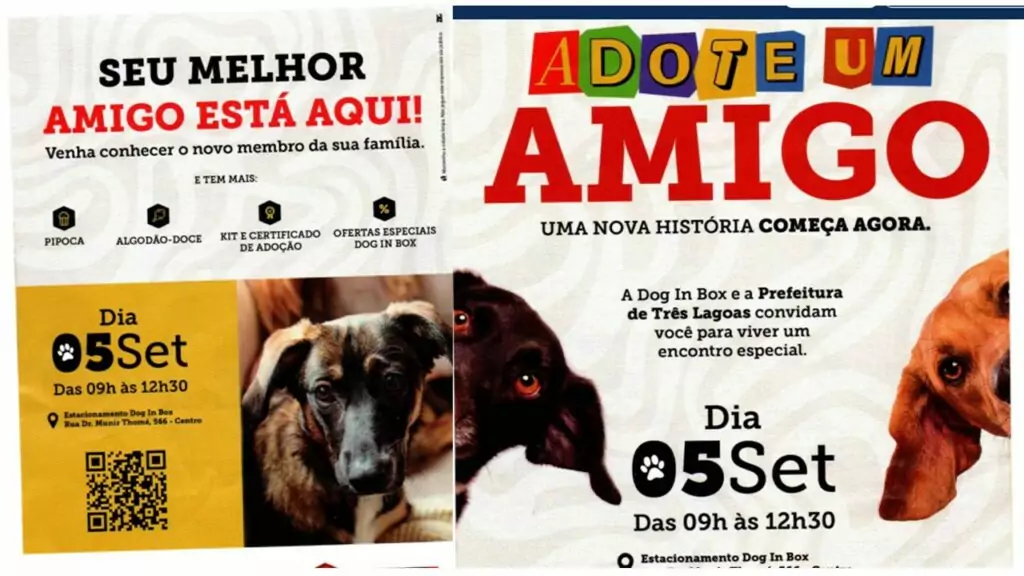 Feira de Adoção em Três Lagoas oferece cães resgatados neste sábado