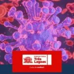 Boletim Epidemiológico de Influenza divulgado em Três Lagoas
