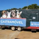 Castramóvel oferece castração gratuita e serviços para animais em Três Lagoas
