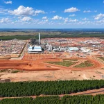 Mato Grosso do Sul atrai investimentos na indústria de celulose