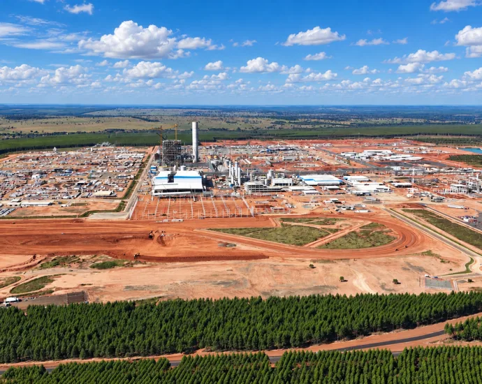 Mato Grosso do Sul atrai investimentos na indústria de celulose