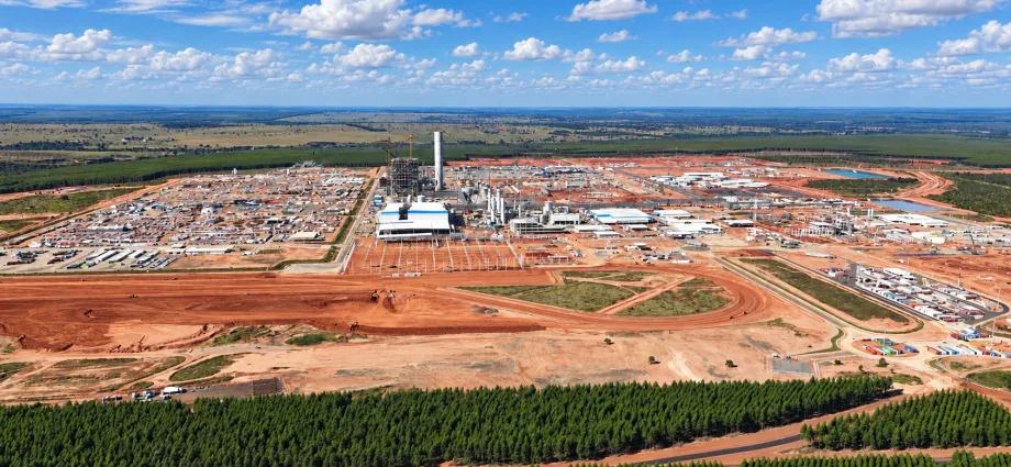 Mato Grosso do Sul atrai investimentos na indústria de celulose Mato Grosso do Sul atrai investimentos na indústria de celulose