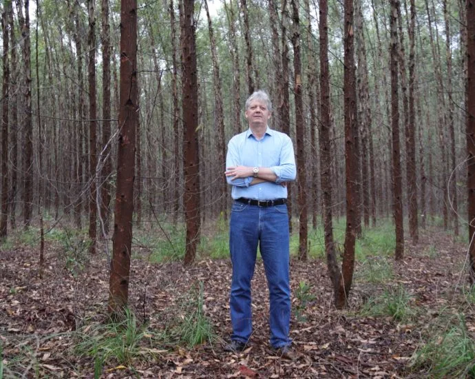 Produção Florestal em MS Registra Novo Recorde, Destaca Jaime Verruck