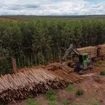 Suzano oferece 15 vagas de emprego em Ribas do Rio Pardo e Três Lagoas