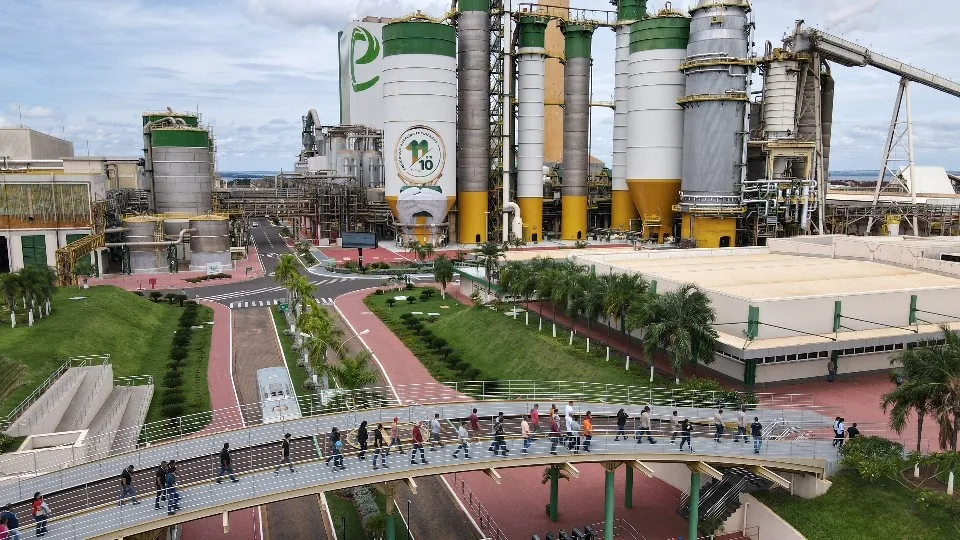 Enquanto empresas fecham, celulose investe mais de R$ 70 bilhões em MS