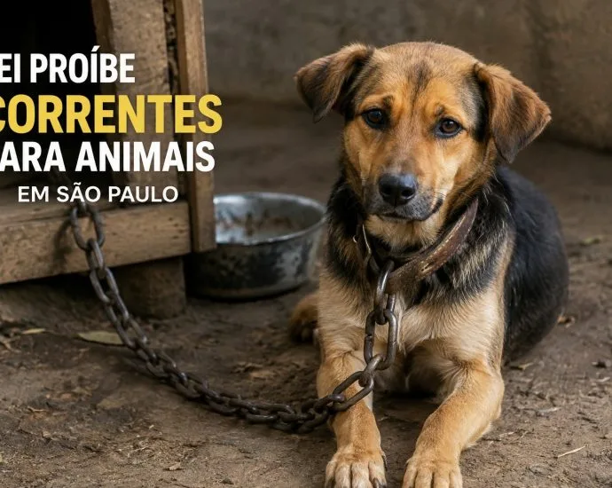 São Paulo proíbe acorrentamento de cães e gatos