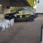Polícia Rodoviária Federal apreende 547 kg de cocaína em Tupi Paulista