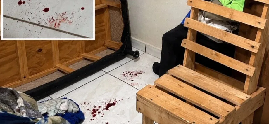 Polícia Civil interrompe execução de organização criminosa em Sonora Polícia Civil interrompe execução de organização criminosa em Sonora