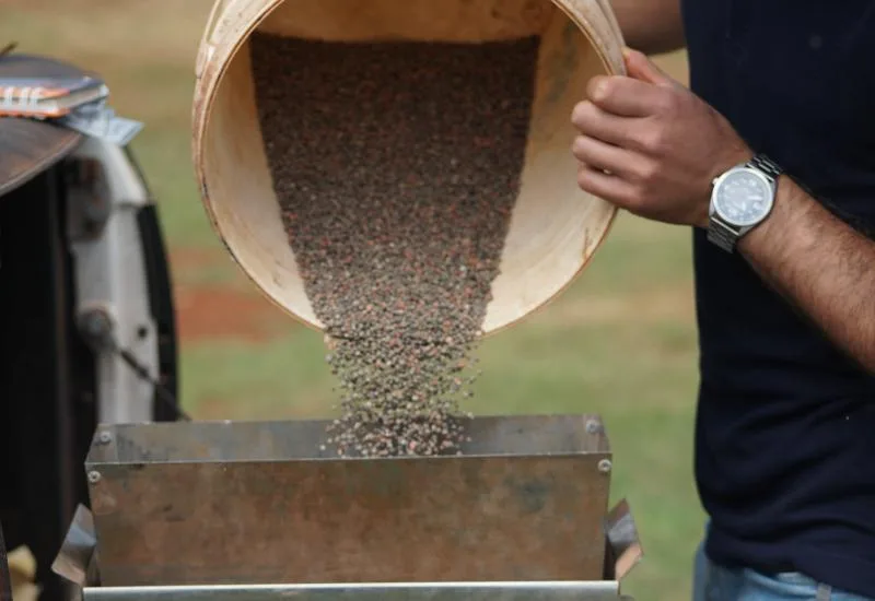Plantio da Soja em Mato Grosso do Sul Começa em 16 de Setembro com Produtividade Estimada de 52 Sacas