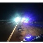 Pedestre morre atropelado na SP-294, em São Paulo