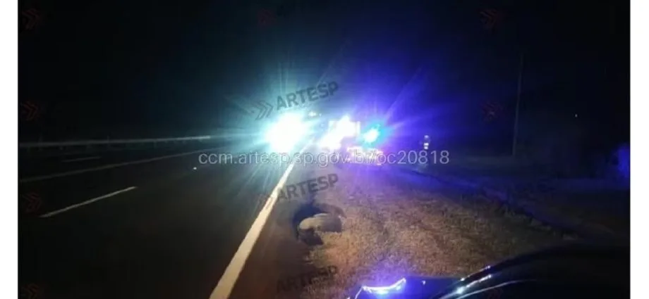 Pedestre morre atropelado na SP-294, em São Paulo Pedestre morre atropelado na SP-294, em São Paulo