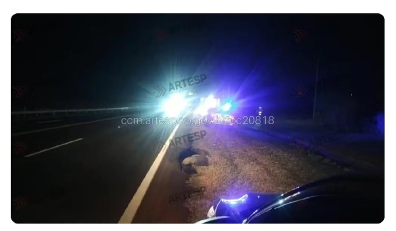 Pedestre morre atropelado na SP-294, em São Paulo