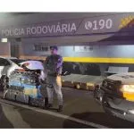 Homem é detido com 186 kg de maconha em rodovia de São Paulo