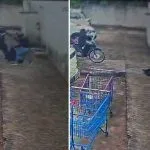 Ex-marido é preso após esfaquear mulher em São José do Rio Preto
