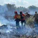 Pantanal registra aumento de 179% na área queimada em 2026