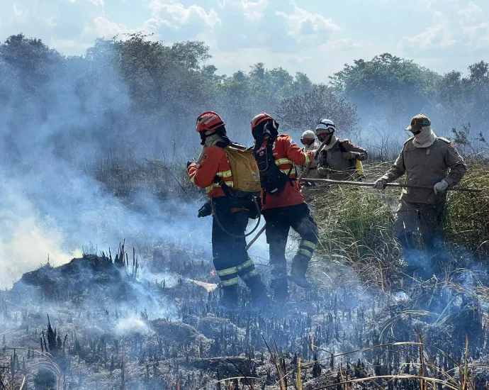 Pantanal registra aumento de 179% na área queimada em 2026