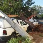 Alerta para Tempestades em Mato Grosso do Sul: Ventos Podem Chegar a 100 km/h
