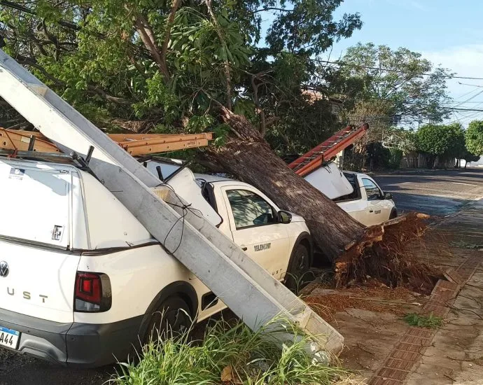 Alerta para Tempestades em Mato Grosso do Sul: Ventos Podem Chegar a 100 km/h Alerta para Tempestades em Mato Grosso do Sul: Ventos Podem Chegar a 100 km/h