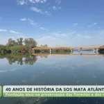 SOS Mata Atlântica celebra 40 anos com projetos de recuperação ambiental