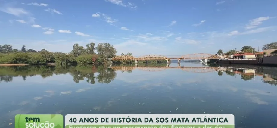 SOS Mata Atlântica celebra 40 anos com projetos de recuperação ambiental SOS Mata Atlântica celebra 40 anos com projetos de recuperação ambiental