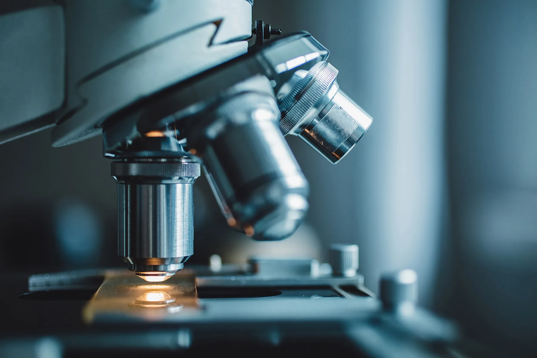 AGRICULTURA BIOLÓGICA: Coleção de microrganismos da Biotrop recebe