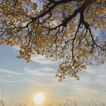 Temperaturas acima de 40°C e baixa umidade geram alerta para queimadas no noroeste paulista