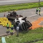 Caminhão de laranjas tomba e atinge carga de porcos em rodovia de Jales