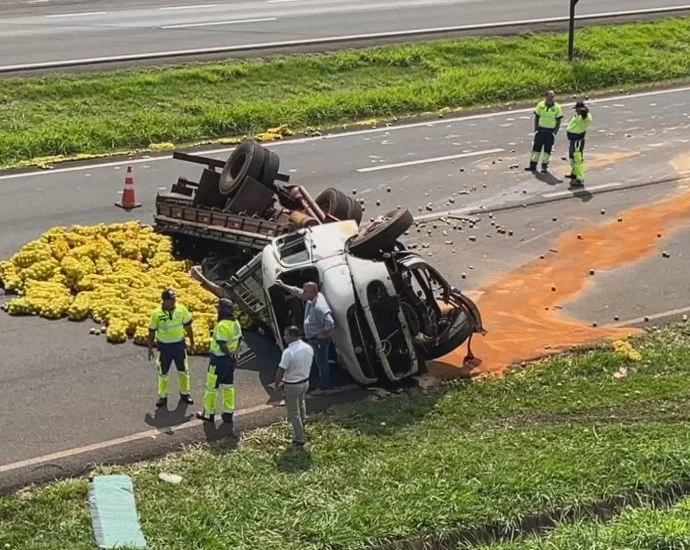 Caminhão de laranjas tomba e atinge carga de porcos em rodovia de Jales