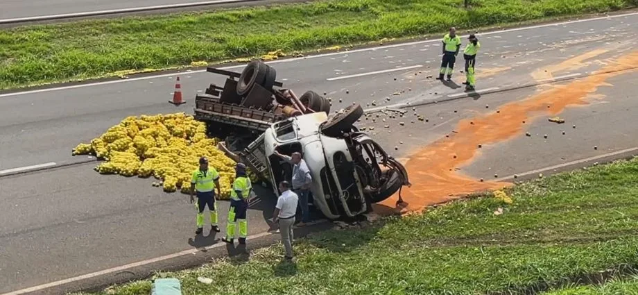 Caminhão de laranjas tomba e atinge carga de porcos em rodovia de Jales