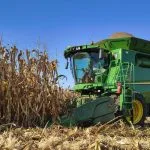 Colheita do milho alcança 2,194 milhões de hectares em Mato Grosso do Sul