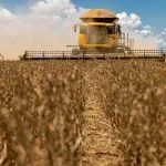 Custo da Soja em Mato Grosso do Sul: 42 Sacas por Hectare para Cobrir Despesas na Safra 2026/27