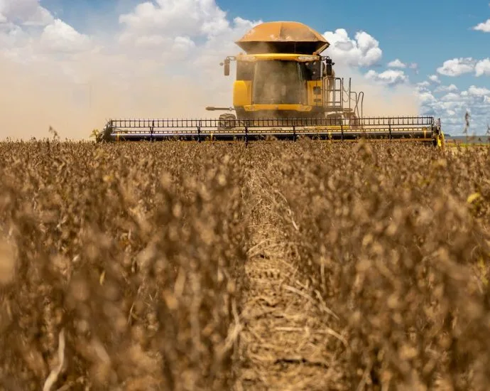 Custo da Soja em Mato Grosso do Sul: 42 Sacas por Hectare para Cobrir Despesas na Safra 2026/27 Custo da Soja em Mato Grosso do Sul: 42 Sacas por Hectare para Cobrir Despesas na Safra 2026/27