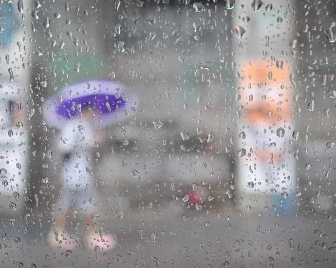 Previsão de Temporais em São Paulo: Dicas de Proteção Contra Vento, Chuva e Granizo