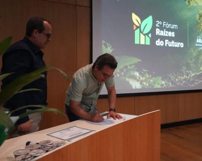 Decreto regulamenta arborização urbana em Araçatuba