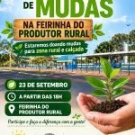 Doação de mudas em Castilho acontece nesta quarta na feirinha