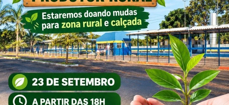 Doação de mudas em Castilho acontece nesta quarta na feirinha