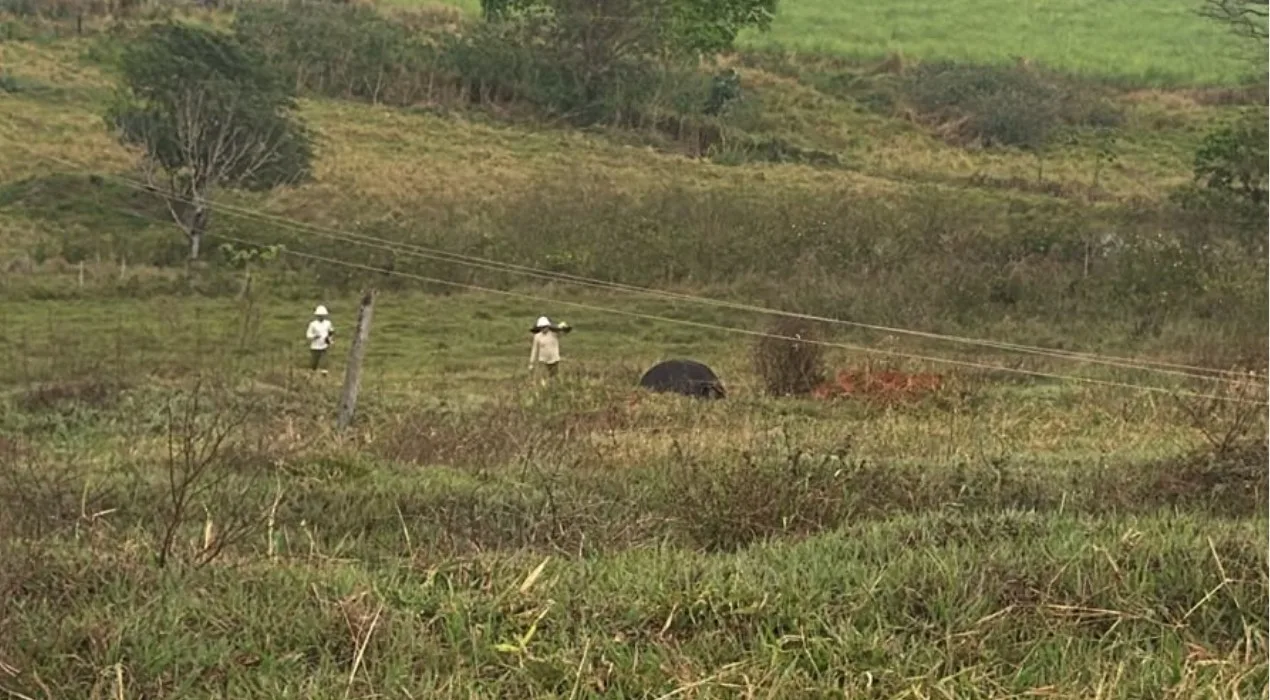 Temporal causa morte de quatro vacas e provoca estragos em Cosmorama, SP