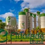Eldorado Brasil abre vagas de emprego em Três Lagoas; saiba como se candidatar
