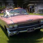 Feira de Antigomobilismo em São José do Rio Preto destaca relíquias e supercarros