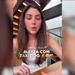 Influenciadora relata morte de bulldog após superaquecimento em táxi-dog em Rio Preto