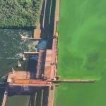Melhora na qualidade da água do Rio Tietê contrasta com algas no noroeste de SP